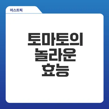 토마토 효능 건강을 지키는 최강 식품은?