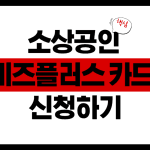 소상공인 비즈플러스카드 지금 신청하기