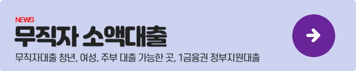 정부지원대출 - 무직자소액대출
