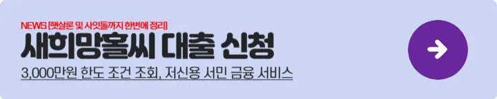 정부지원대출 - 새희망홀씨대출
