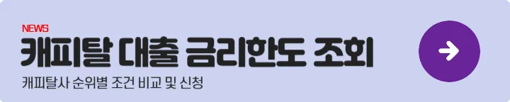 정부지원대출 - 캐피탈대출금리한도조회